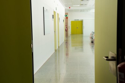 08.jpg