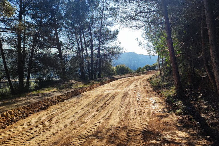 Camí forestal de Viladecavalls