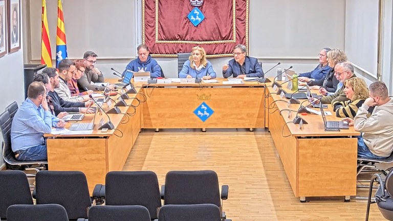 Ple Municipal del mes de febrer del 2025
