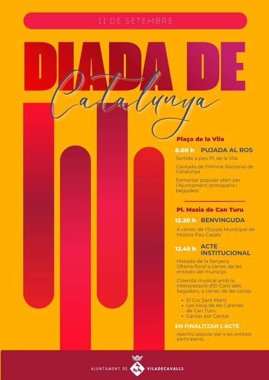 Diada Catalunya 2026 (7).jpg